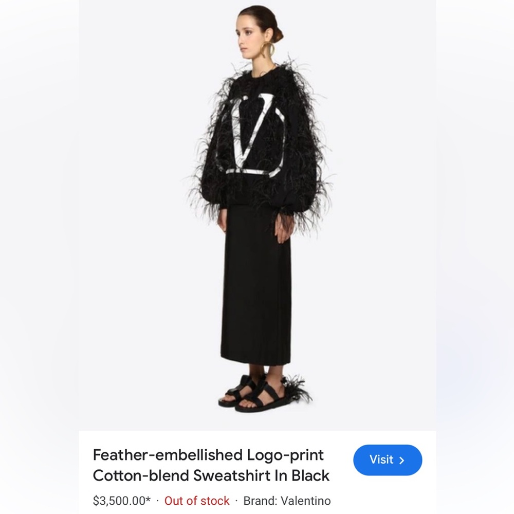 Valentino Garavani ostrich feather hoodie - Picture 10 of 10